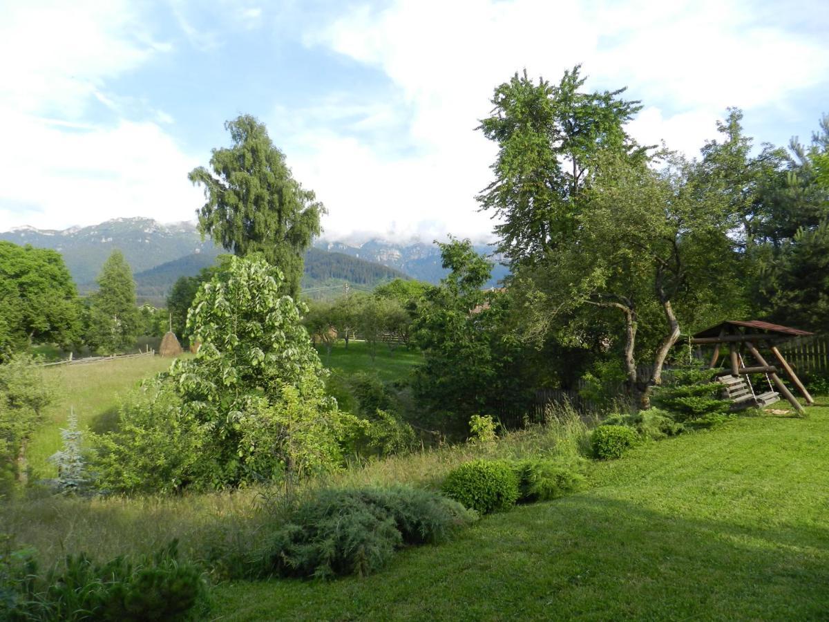 Cabana Festung Бран Экстерьер фото