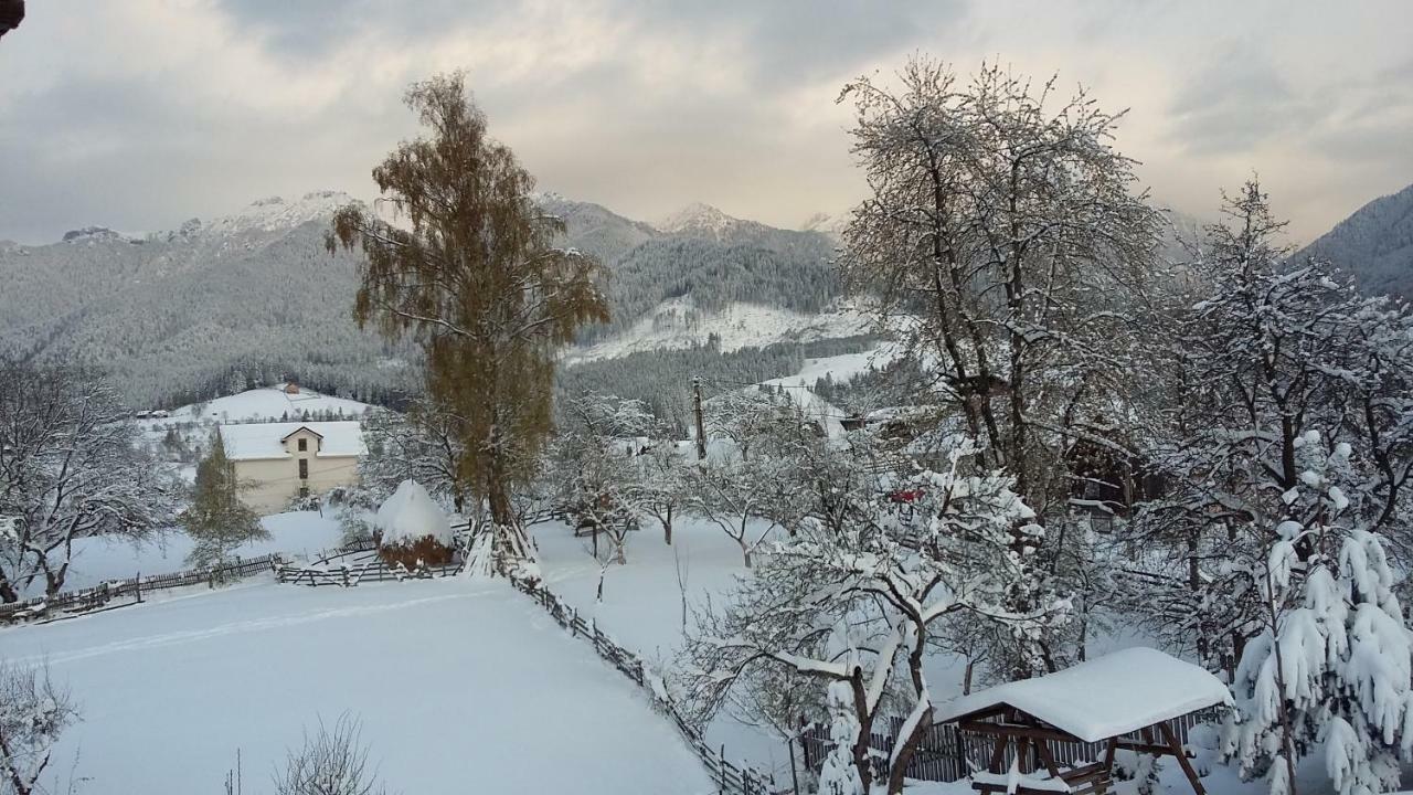 Cabana Festung Бран Экстерьер фото