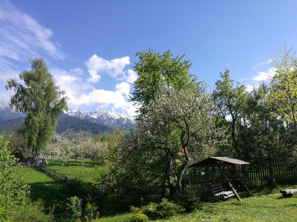 Cabana Festung Бран Экстерьер фото
