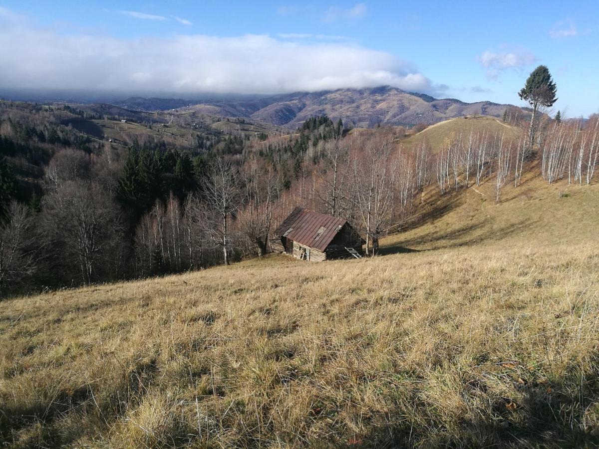 Cabana Festung Бран Экстерьер фото